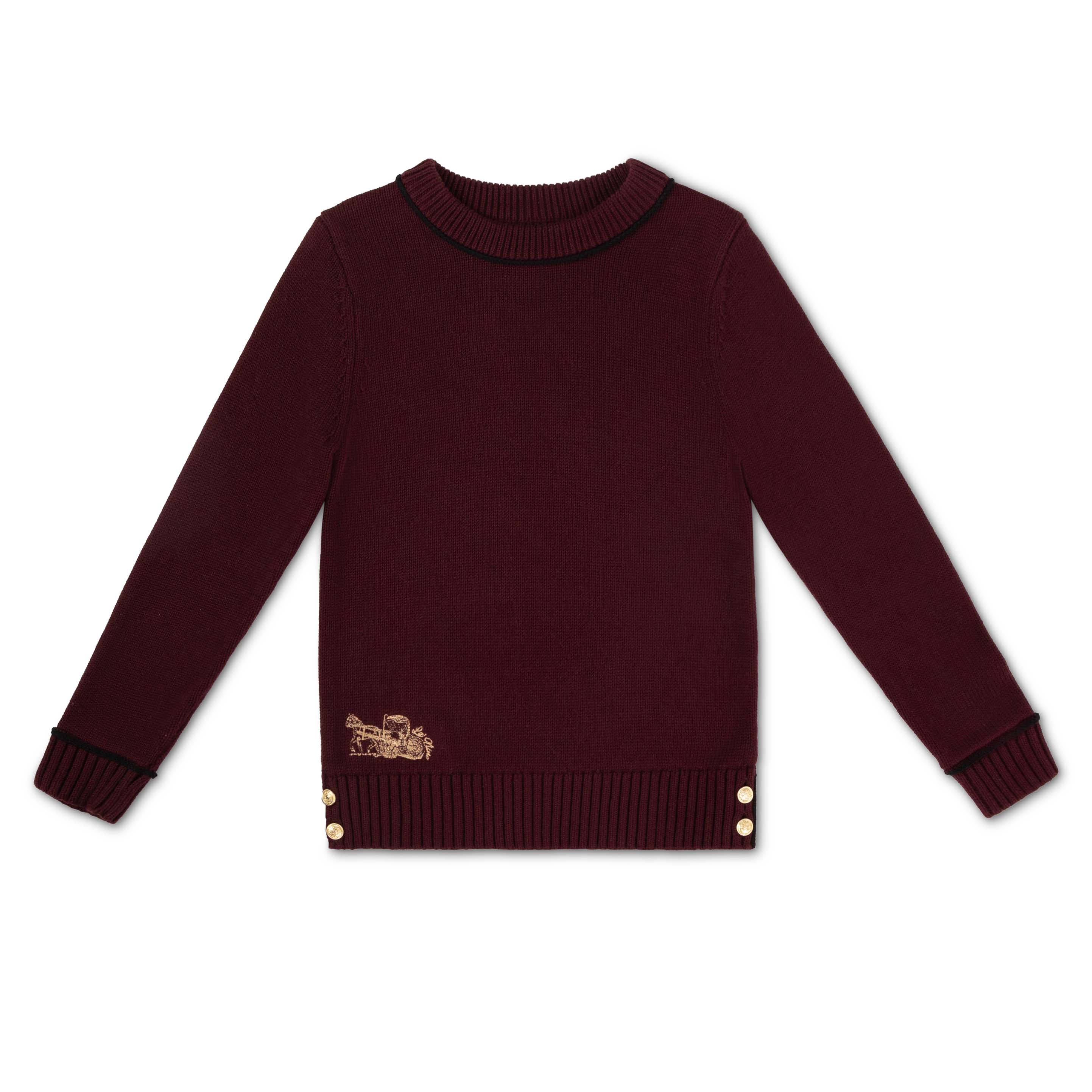 Boy's Burgundy Classic Logo Sweater
